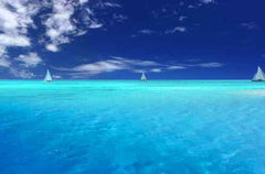 Sea Scape